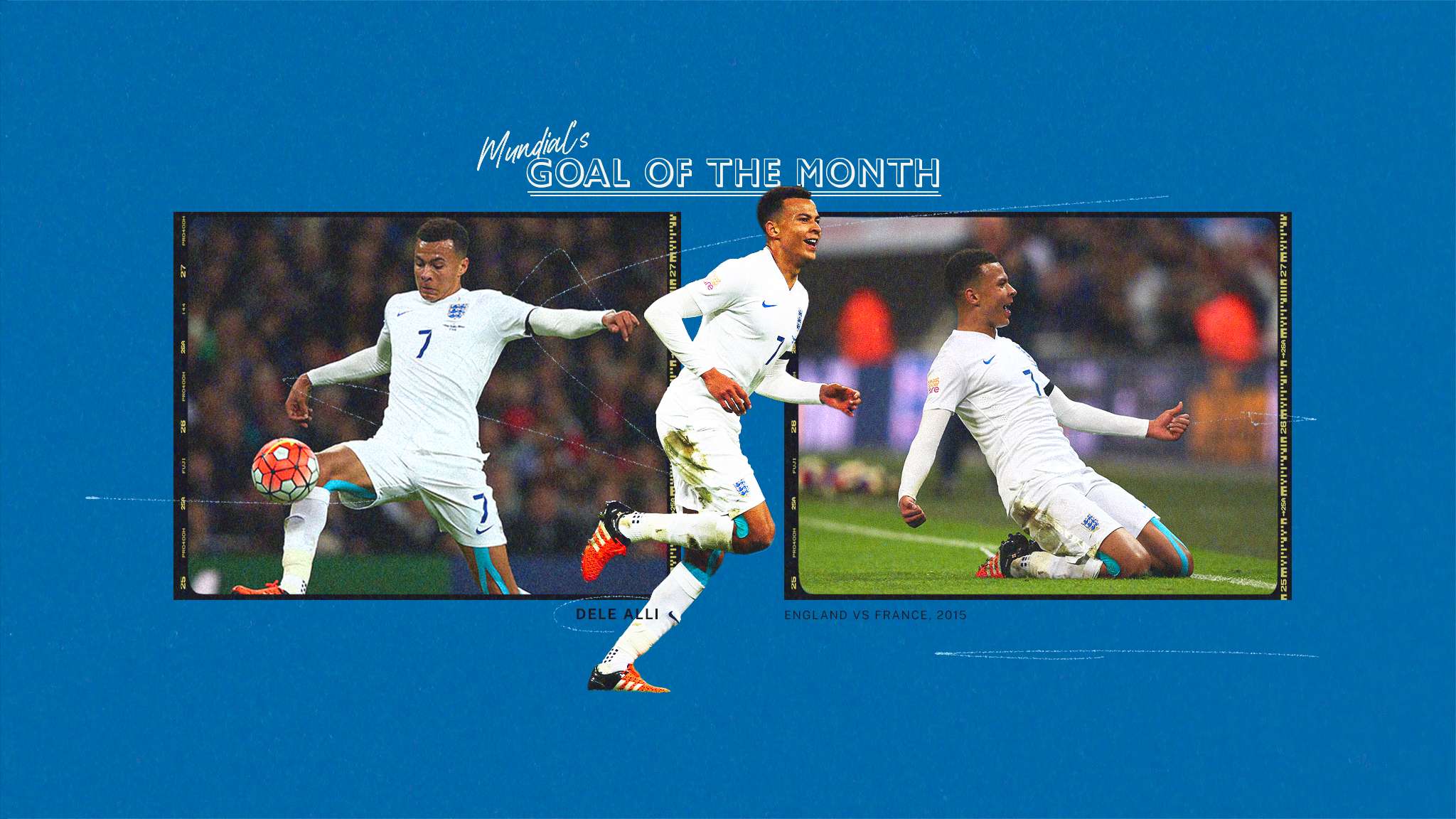 适应能力 适应能力