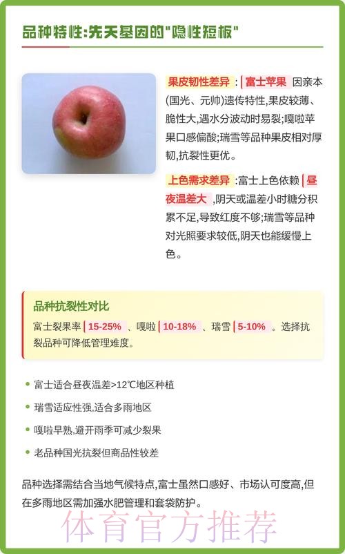 世界杯盘口苹果全解析 世界杯盘口苹果全解析
